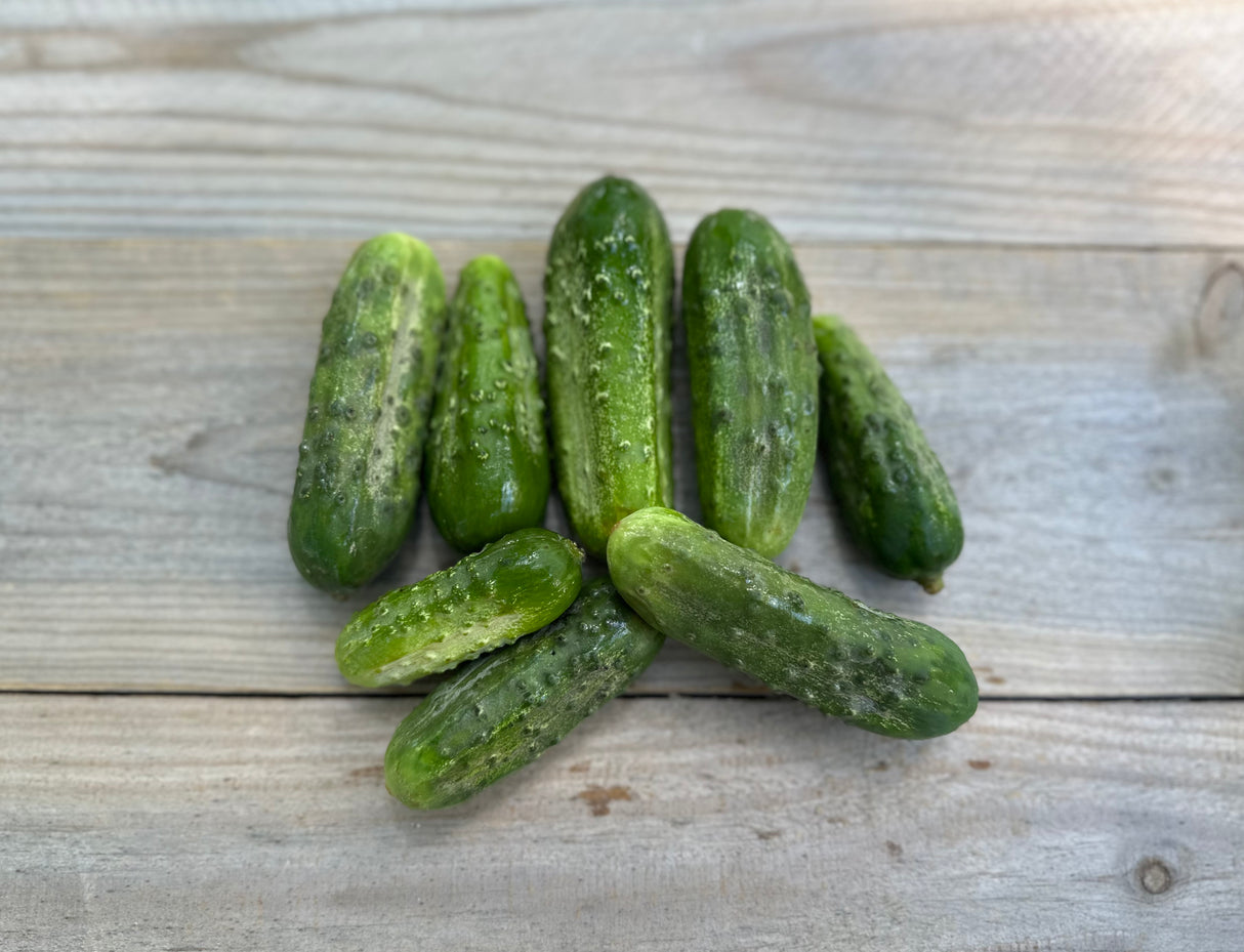 Pickling Cucumbers, 1 lb