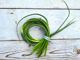 Garlic Scapes