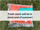 Wild Alaskan Salmon Filet