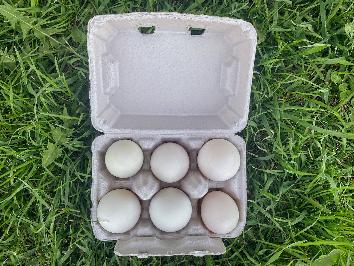 Duck Eggs