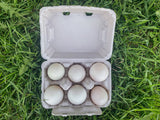 Duck Eggs