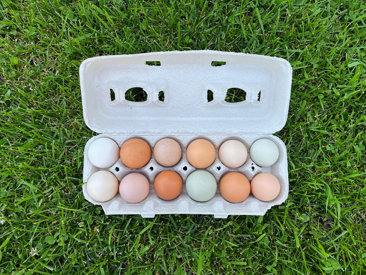 Schneiderman Eggs
