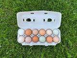 Schneiderman Eggs