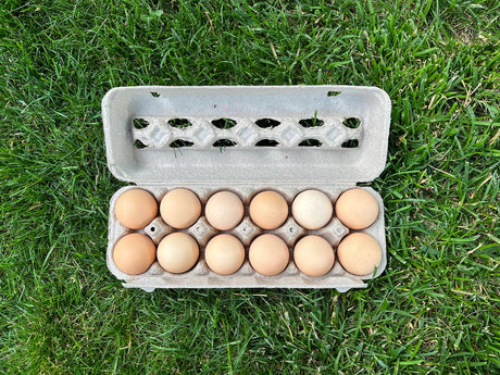 Veldkamp Family Non-GMO Fed Eggs