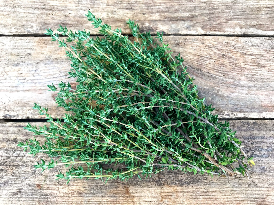 Thyme
