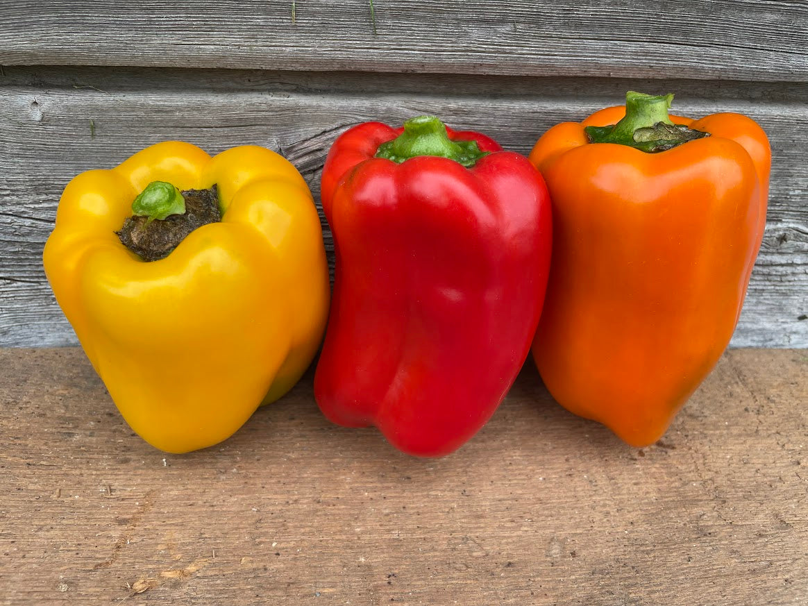 Peppers, Colored Bell - 2 count