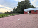 VanDerVliet Eggs