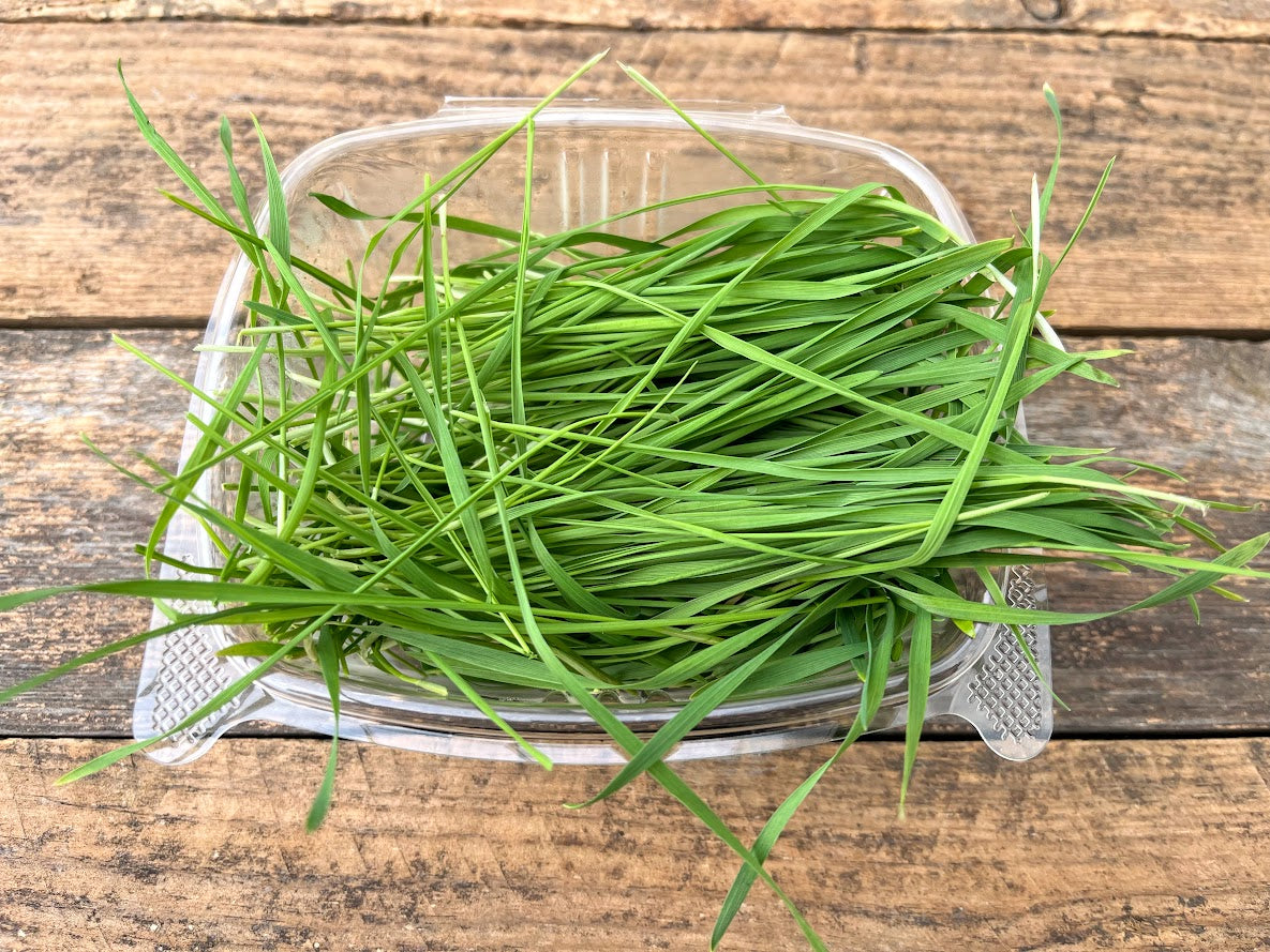 Microgreens