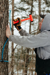 Maple Syrup