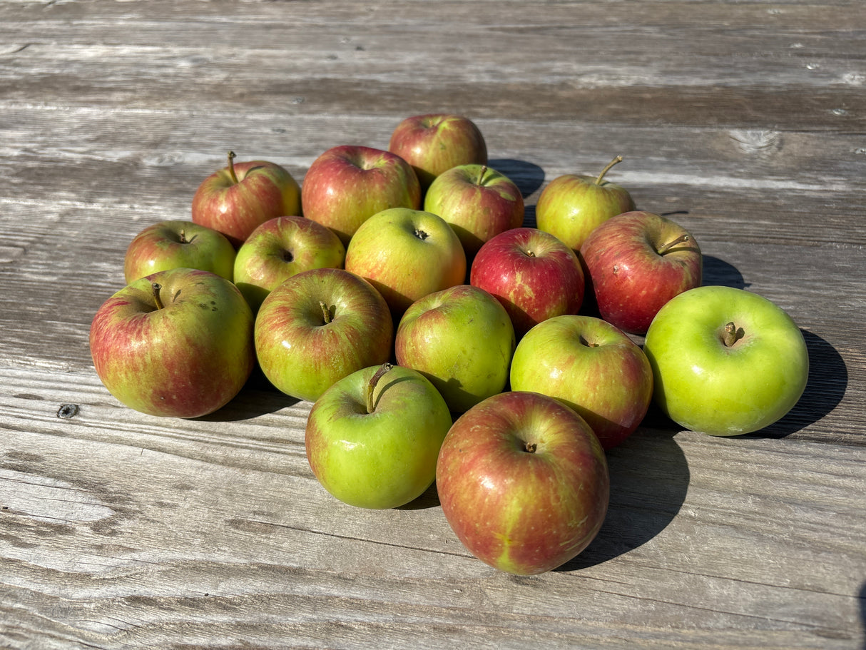 Apples, Variety Unknown, 3 lb