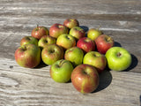 Apples, Variety Unknown, 3 lb