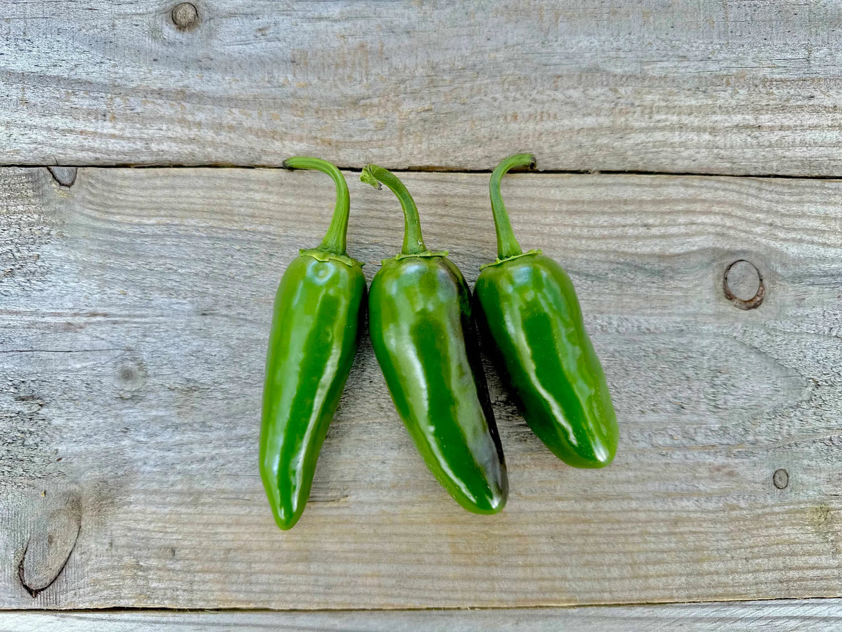 Jalapeño Peppers (5ct)