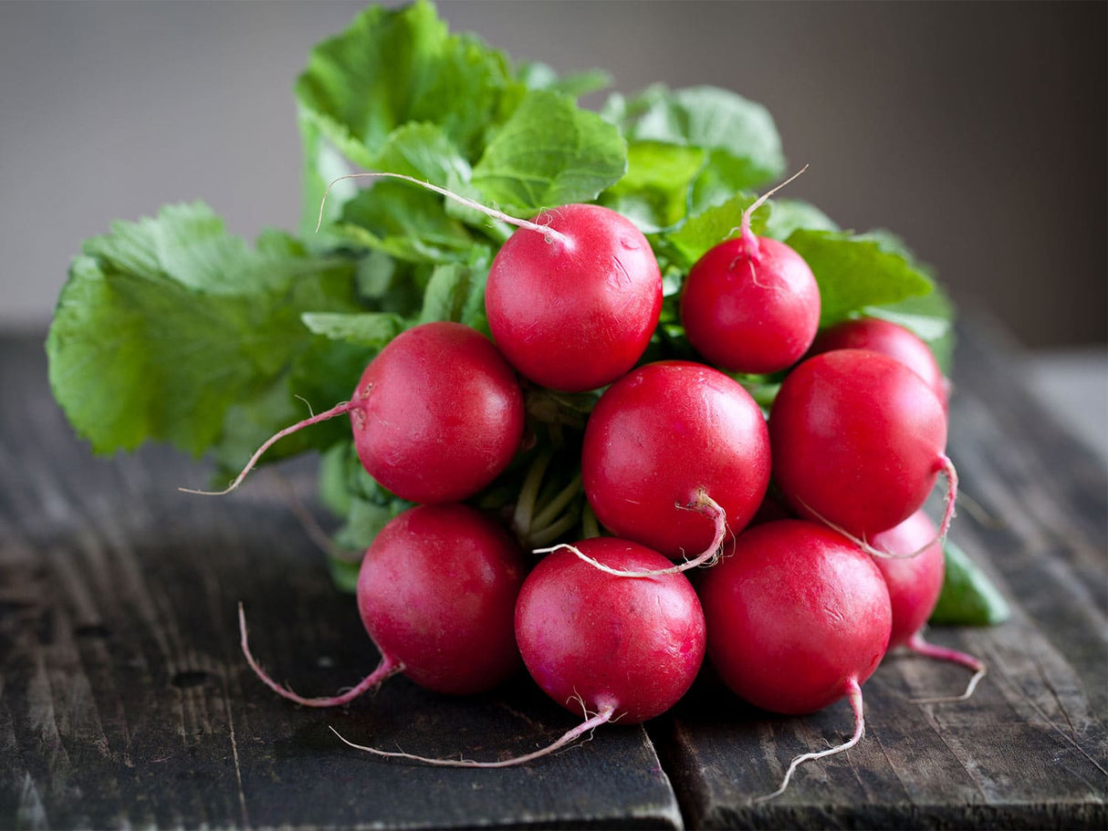 Radish, Red - 1 bunch