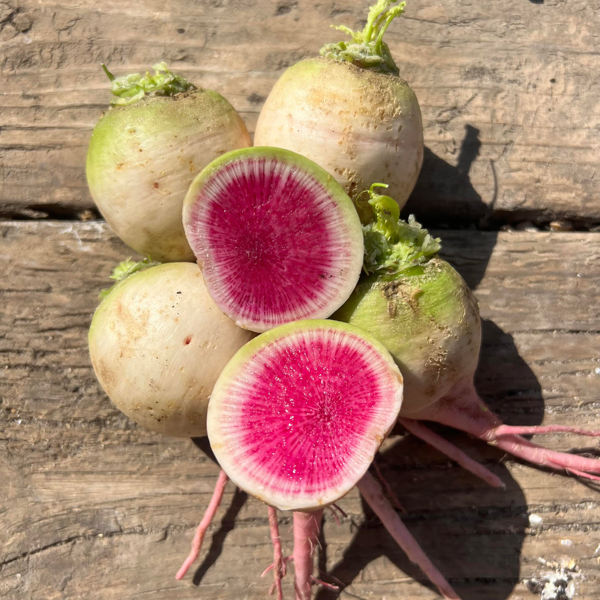 Radish, Watermelon - 1 lb