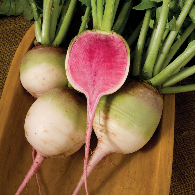 Radish, Watermelon - 1 lb