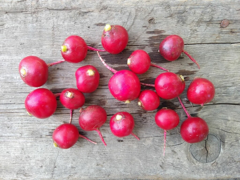 Radish, Red - 12 oz