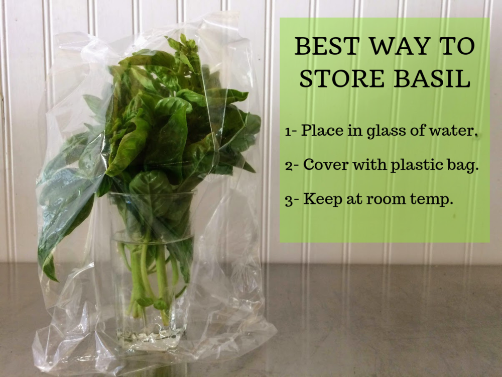 Basil, 1 oz