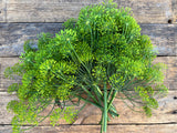 Dill Heads, 6 count
