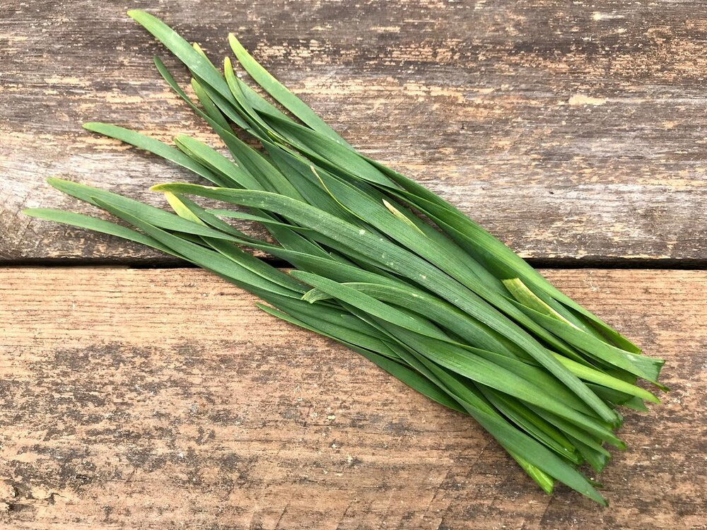 Garlic Chives, 1 oz