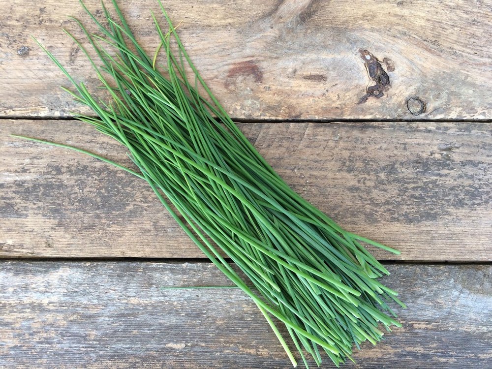 Chives, 1 oz