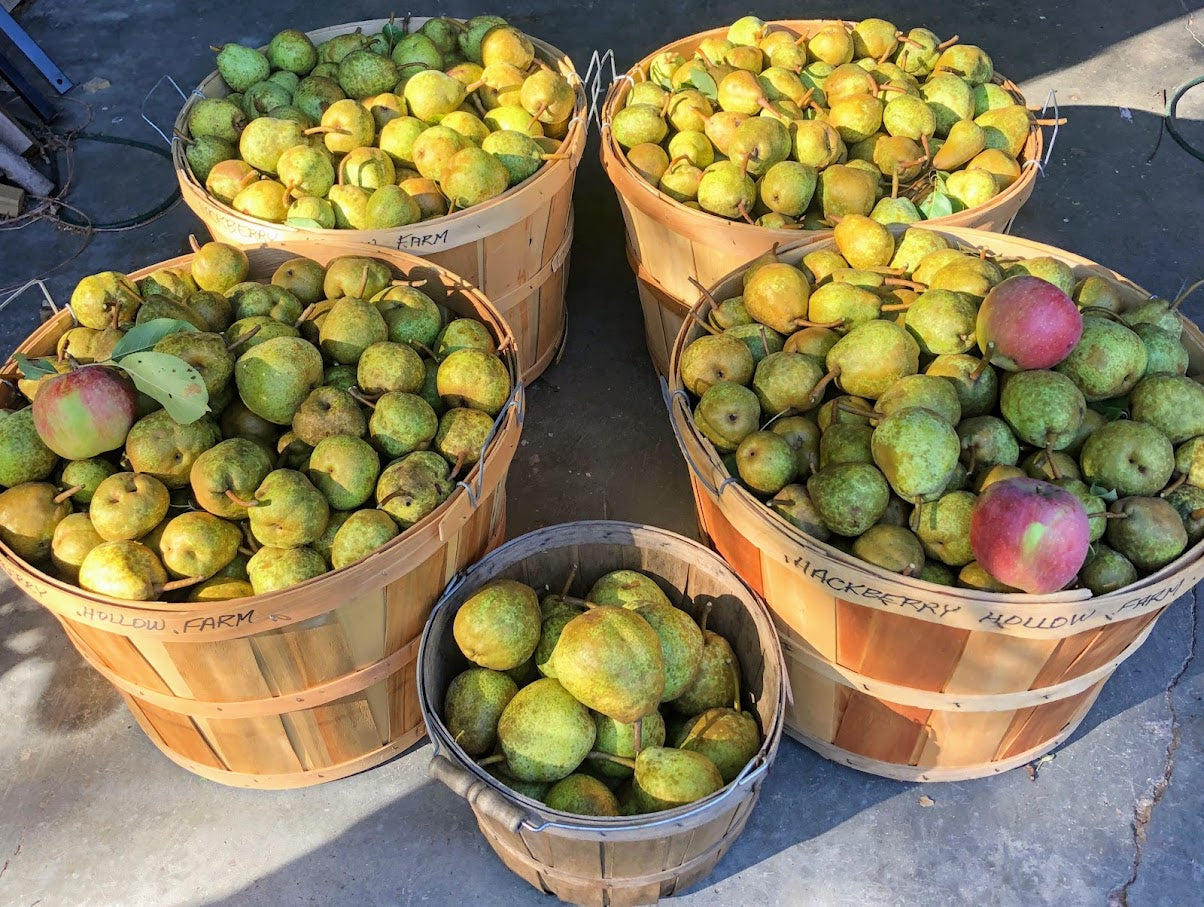 Imperfect Luscious Pears, 3 lb