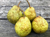 Imperfect Luscious Pears, 3 lb