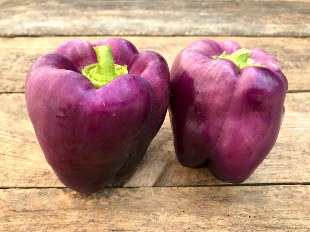 Peppers, Purple Bells 1/2 lb