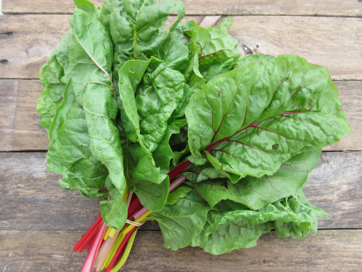 Swiss Chard Bunch
